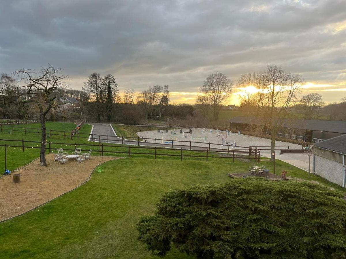B&B At Haras Petit-Hallet Hannut Exterior foto